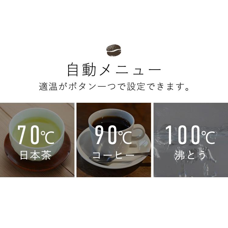 IRIS OHYAMA 電気ケトル 0.8L ケトル 電気 電気ポット 湯沸かし 温度