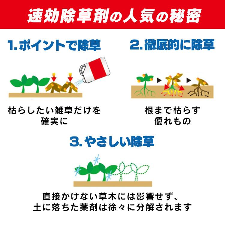 IRIS OHYAMA（アイリスオーヤマ） 除草剤 4L 速効 強力 液体 非農耕地