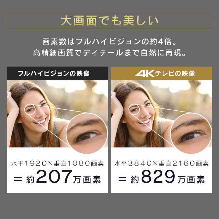 IRIS OHYAMA（アイリスオーヤマ） テレビ 55型 本体 新品 アイリス