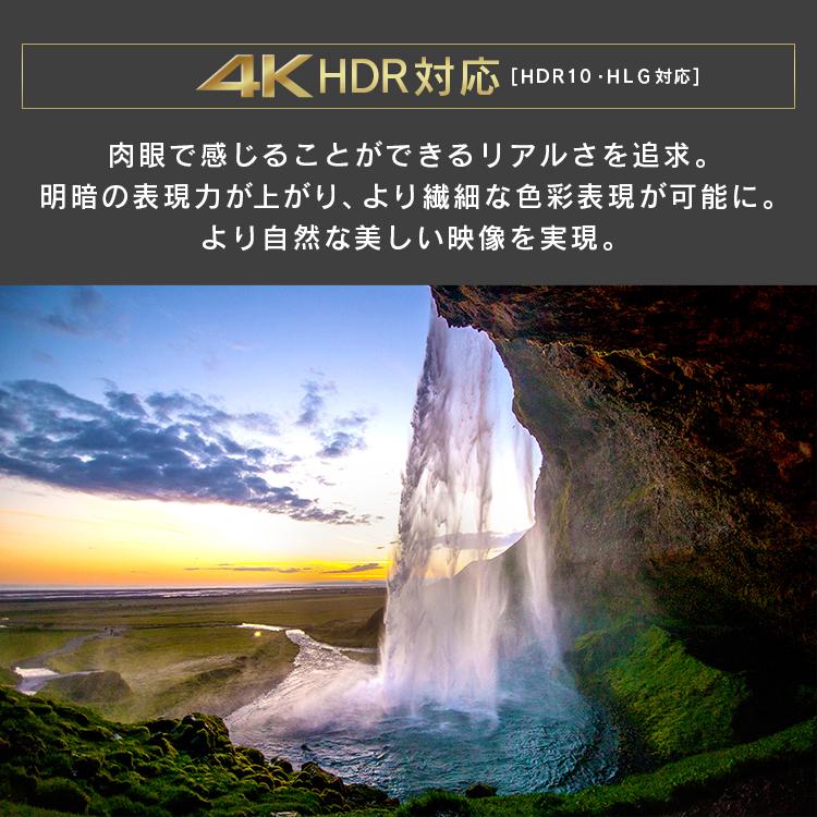 テレビ 55型 本体 新品 アイリス 液晶テレビ 4K 55インチ アイリスオーヤマ 4Kテレビ 4Kチューナー内蔵 4K内蔵 55V型 ブラック 55XQUC35 新生活｜petkan｜14