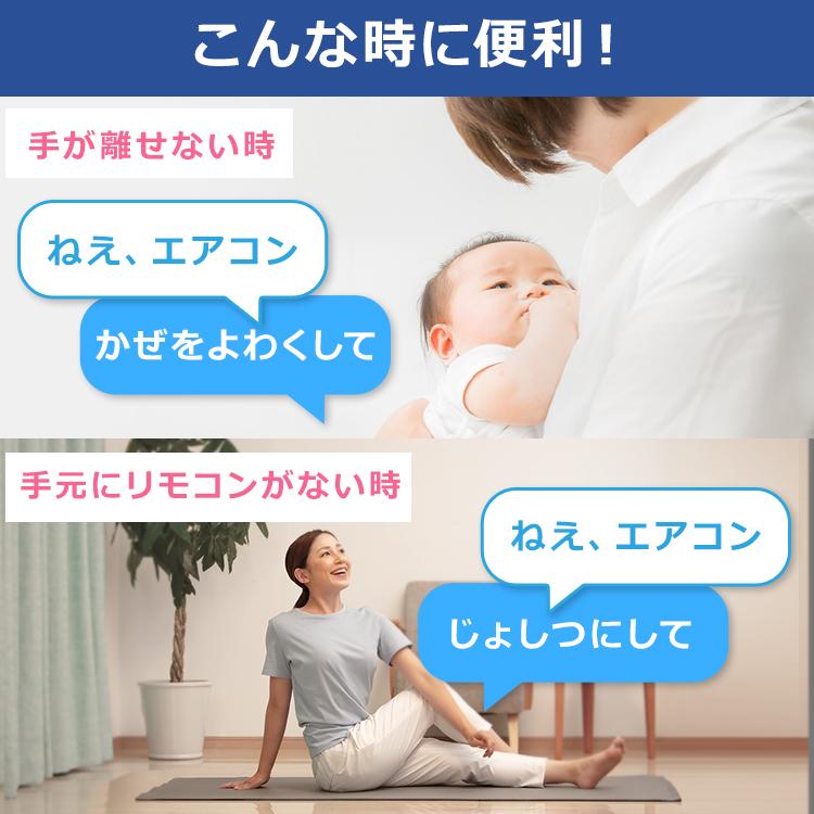 IRIS OHYAMA（アイリスオーヤマ） エアコン 14畳用 200v 声で操作