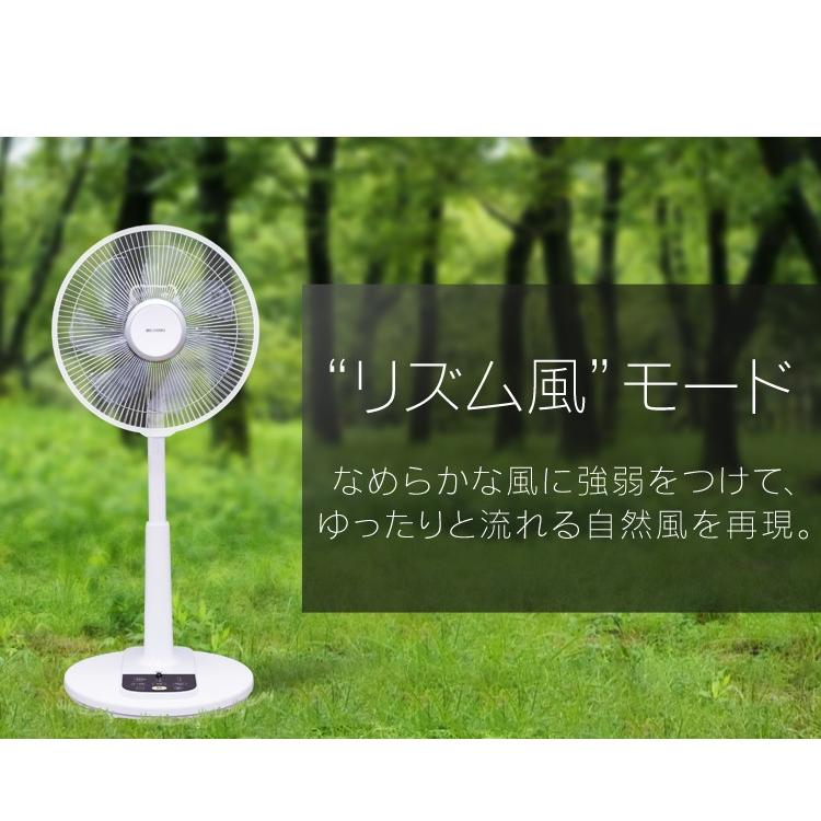 IRIS OHYAMA（アイリスオーヤマ） 扇風機 リビング扇風機 上下 左右 首