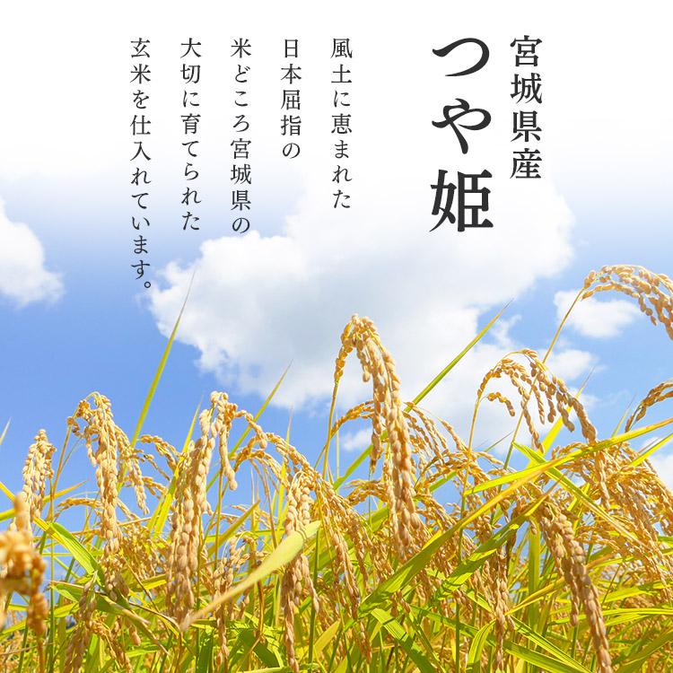 IRIS OHYAMA（アイリスオーヤマ） 米 5kg 令和6年産 米5kg 送料無料