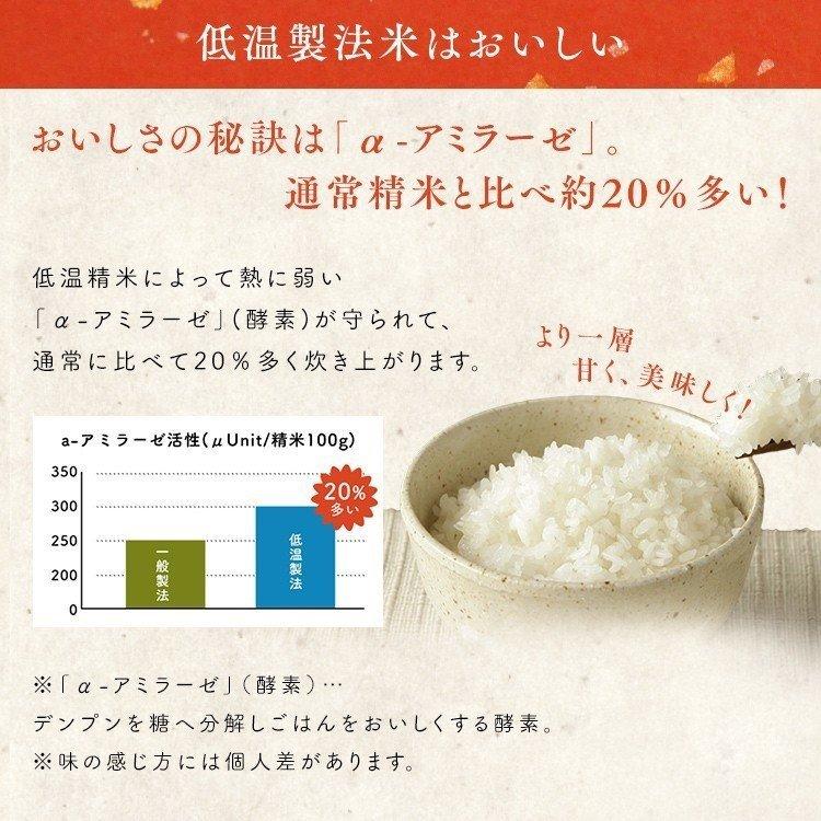 米 5kg 送料無料 令和5年産 千葉県産 こしひかり 低温製法米 精米 お米 5キロ コシヒカリ ご飯 ごはん アイリスフーズ｜petkan｜06