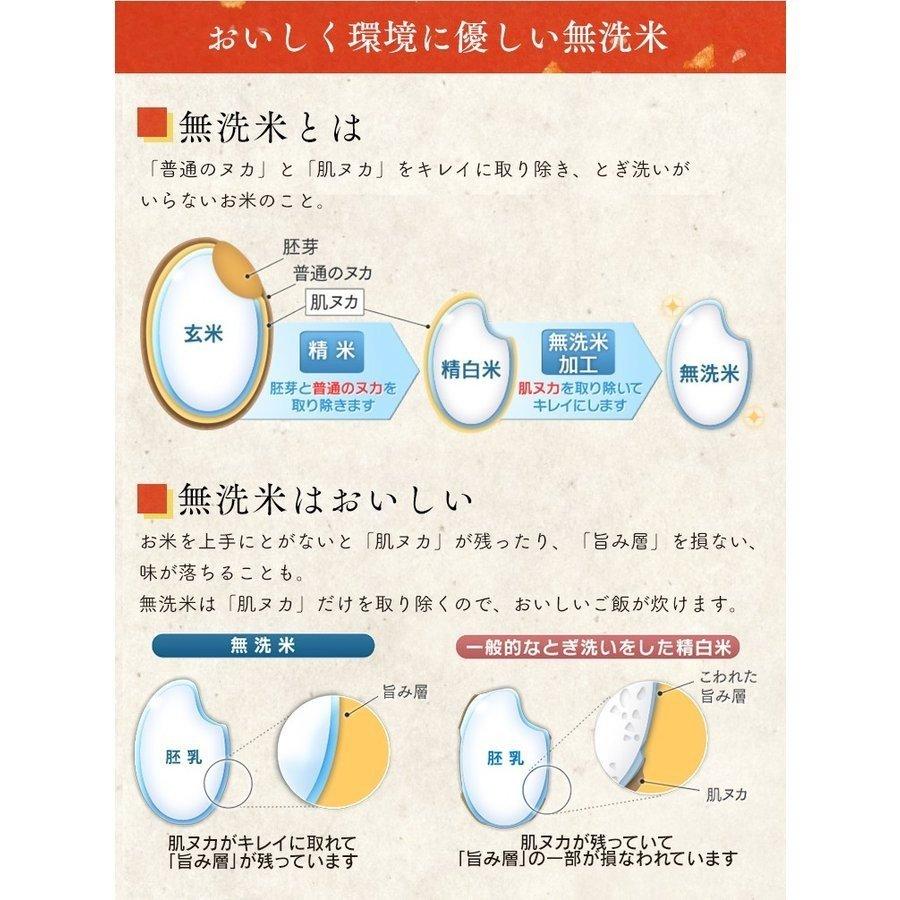 米 5kg 送料無料 令和5年産 千葉県産 こしひかり 低温製法米 精米 お米 5キロ コシヒカリ ご飯 ごはん アイリスフーズ｜petkan｜08