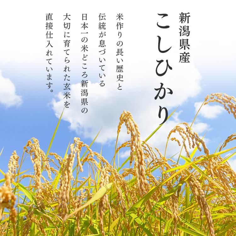 IRIS OHYAMA（アイリスオーヤマ） 令和6年産 無洗米 2kg 送料無料 新潟