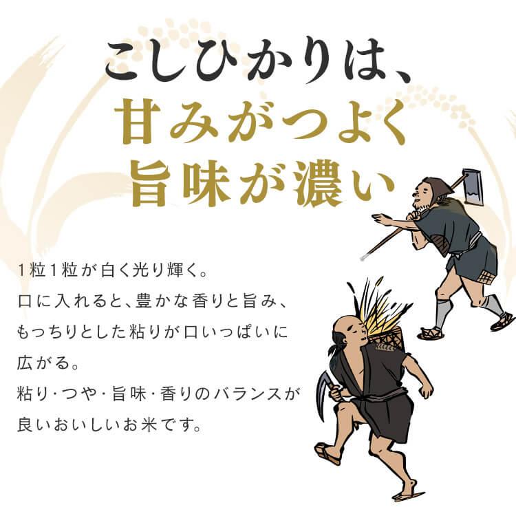 IRIS OHYAMA 令和6年産 無洗米 2kg 送料無料 新潟県産こしひかり IRIS OHYAMA 令和6年産 無洗米 2kg 送料無料 新潟県産こしひかり