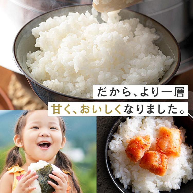 米 1.5kg 無洗米 送料無料 魚沼産こしひかり お米 こしひかり 2合パック 一等米100％ 低温製法米 アイリスオーヤマ 令和6年度産 | IRIS OHYAMA | 13
