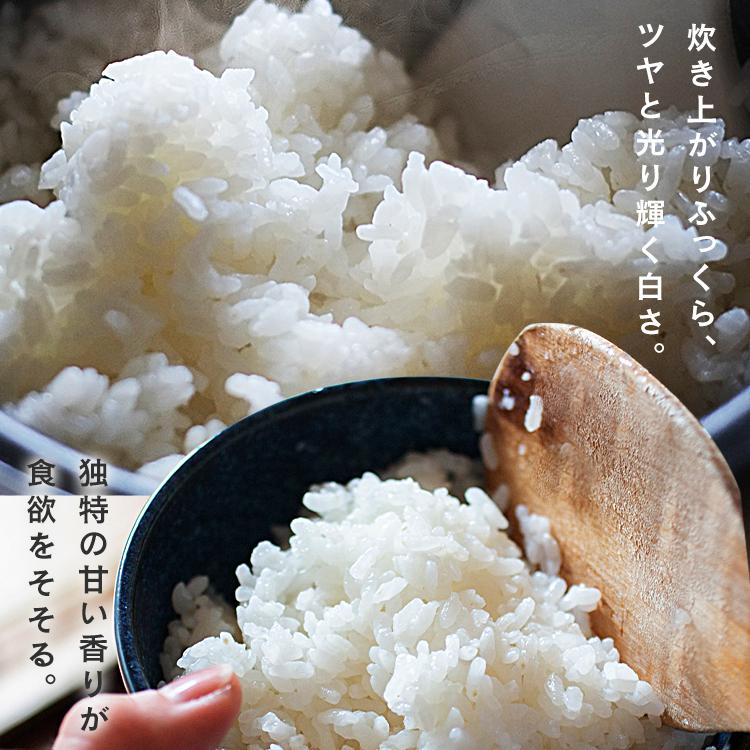 米 1.5kg 無洗米 送料無料 魚沼産こしひかり お米 こしひかり 2合パック 一等米100％ 低温製法米 アイリスオーヤマ 令和6年度産 | IRIS OHYAMA | 03