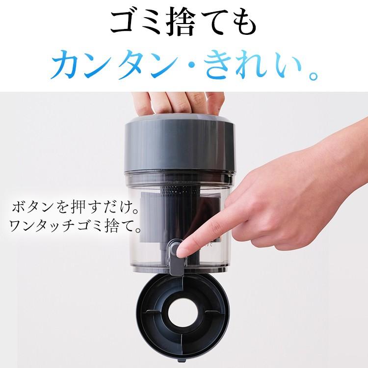 IRIS OHYAMA 掃除機 アイリスオーヤマ クリーナー サイクロン