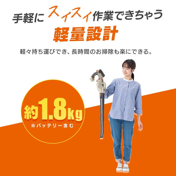 IRIS OHYAMA（アイリスオーヤマ） ＼Type-C充電／ブロワー 充電式 洗車