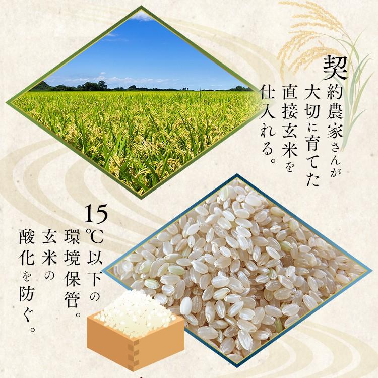 IRIS OHYAMA 米 お米 8kg コシヒカリ 千葉県産こしひかり 低温 IRIS OHYAMA 米 お米 8kg コシヒカリ 千葉県産こしひかり 低温