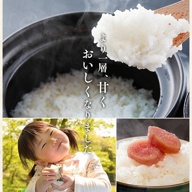 IRIS OHYAMA 米 お米 8kg コシヒカリ 千葉県産こしひかり 低温 IRIS OHYAMA 米 お米 8kg コシヒカリ 千葉県産こしひかり 低温