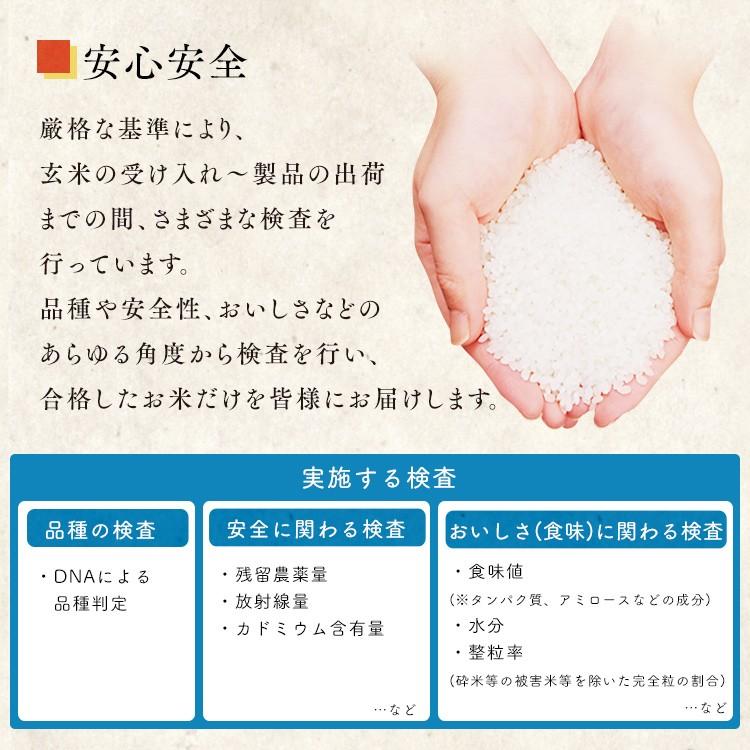 IRIS OHYAMA 米 お米 8kg コシヒカリ 千葉県産こしひかり 低温 IRIS OHYAMA 米 お米 8kg コシヒカリ 千葉県産こしひかり 低温