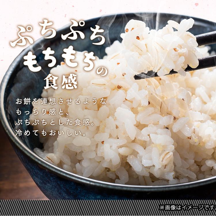 米 もち麦 国産 アイリスオーヤマ 600g 食物繊維 チャック付き もちもち 国産もち麦 おいしい (スタンドチャック付)|petkan|03