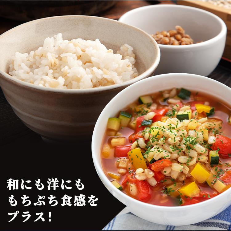 米 もち麦 国産 アイリスオーヤマ 600g 食物繊維 チャック付き もちもち 国産もち麦 おいしい (スタンドチャック付)|petkan|07