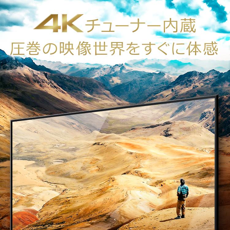 IRIS OHYAMA（アイリスオーヤマ） テレビ 55型 本体 新品 アイリス