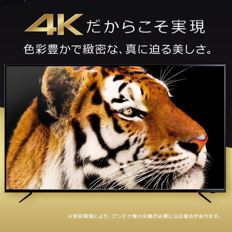 IRIS OHYAMA（アイリスオーヤマ） テレビ 55型 本体 新品 アイリス