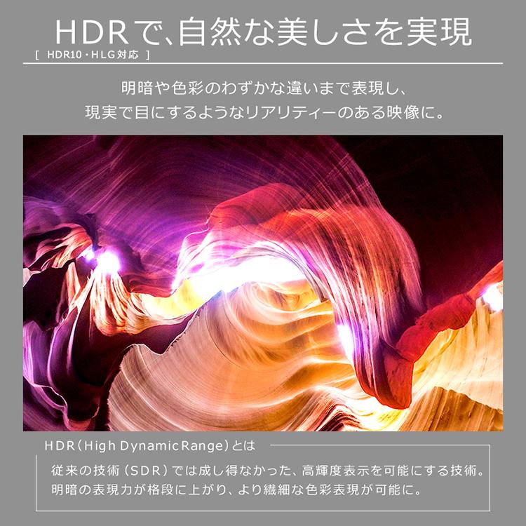 IRIS OHYAMA（アイリスオーヤマ） テレビ 55型 本体 新品 アイリス