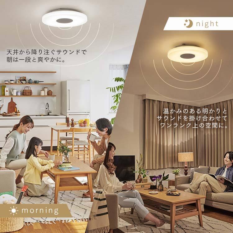 IRIS OHYAMA（アイリスオーヤマ） シーリングライト 8畳 天井照明