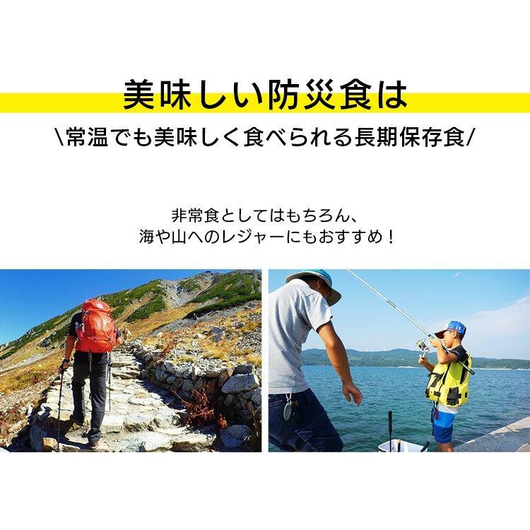 非常食 保存食 美味しい防災食 10食セット サバ味噌 ハンバーグ 肉じゃが さつま芋レモン 豚汁 5種類×2袋 台風 地震 新生活｜petkan｜07