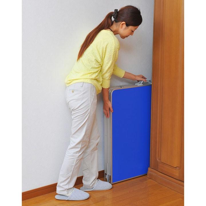 ファミリーピンポン台 tan-595 簡易テーブル 折りたたみ 卓球台 家庭用