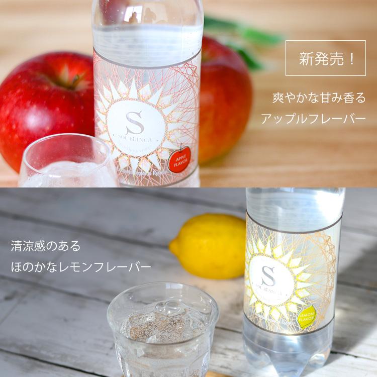 炭酸水 500ml 24本 レモン アップル シリカ炭酸水SOL ソール天然水仕込み 500ml 炭酸水 リンゴ シリカ 送料無料 ラベルレス (D) 代引不可 新生活｜petkan｜11