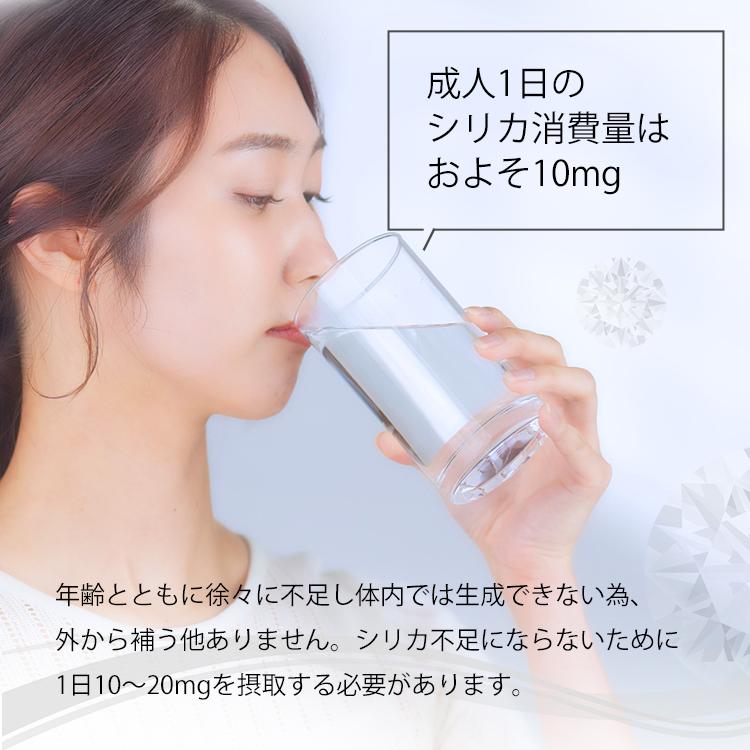 炭酸水 500ml 24本 レモン アップル シリカ炭酸水SOL ソール天然水仕込み 500ml 炭酸水 リンゴ シリカ 送料無料 ラベルレス (D) 代引不可 新生活｜petkan｜15