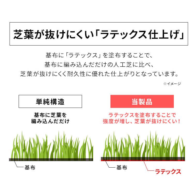 人工芝 アイリスオーヤマ ロール 防草人工芝 芝生 DIY 1m×1m おすすめ 幅1M マット 国産 庭 リアル人工芝 芝丈30mm 防草シート不要 RP-3011 アイリスソーコー｜petkan｜09