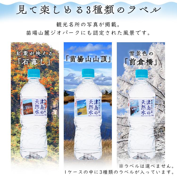 水 ミネラルウォーター 540ml 48本 新潟名水の郷 津南の天然水 プレゼント2 衝撃特価 900円 22 代引不可 父の日