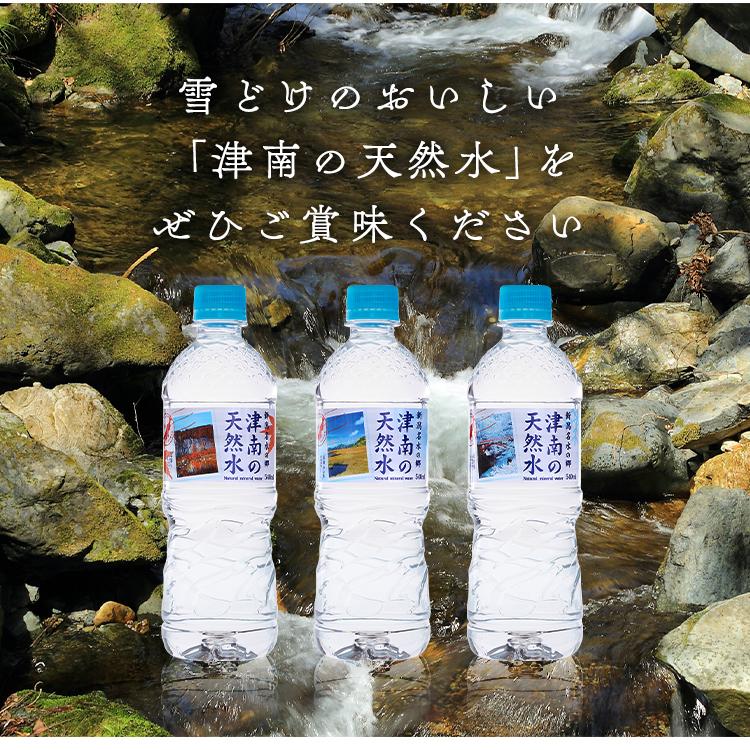 水 ミネラルウォーター 540ml 48本 新潟名水の郷 津南の天然水 プレゼント2 衝撃特価 900円 22 代引不可 父の日