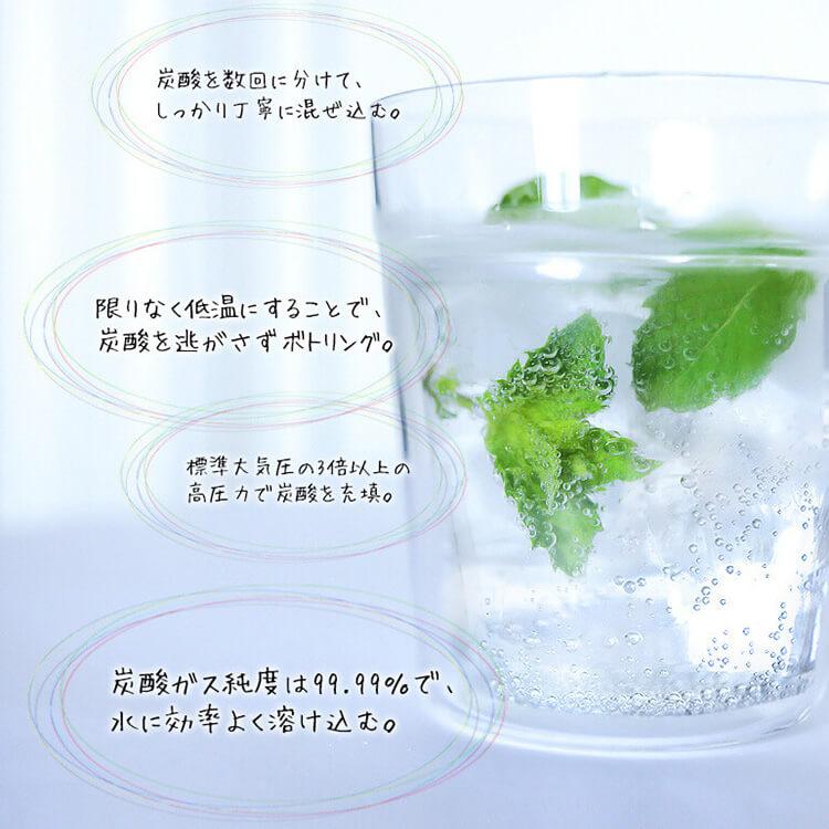 炭酸水 500ml×48本 レモンアップル シリカ炭酸水SOL 48本 ソール天然水仕込み 500ml シリカ リンゴ 送料無料 ラベルレス (D) 代引不可 新生活｜petkan｜11