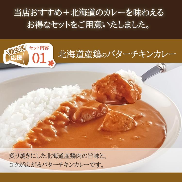 レトルトカレー カレー 北海道 セット 詰め合わせ (6種セット) ベル食品 人気の北海道カレーセット ベル食品 (D) 新生活｜petkan｜03