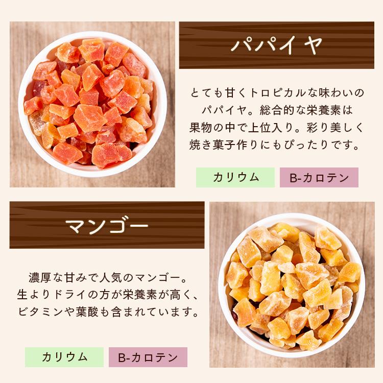 ドライフルーツ ミックス 500g 6種ミックス 送料無料 レーズン