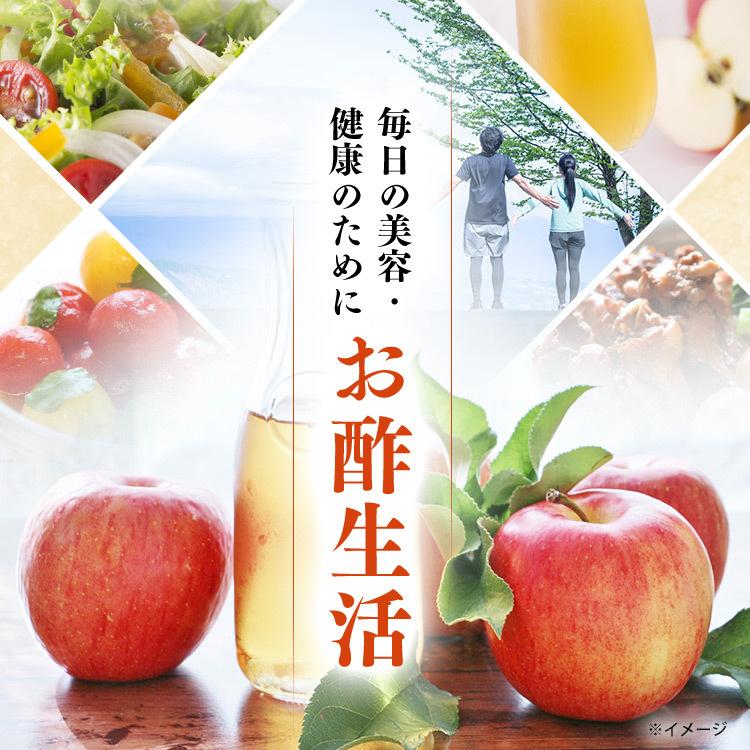内堀醸造 リンゴ酢 りんご酢 純リンゴ酢 美濃 有機純りんご酢 360ml
