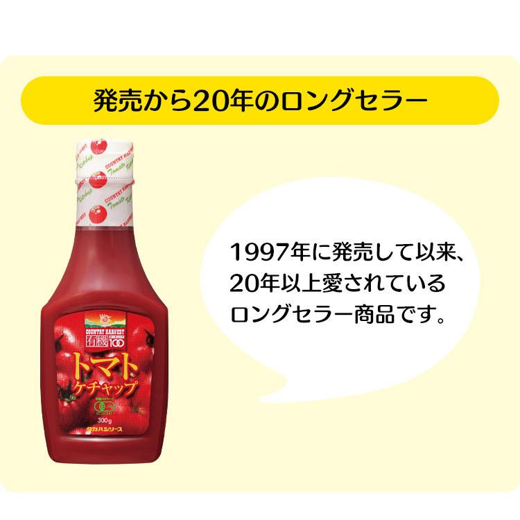 ケチャップ 300g カントリーハ−ヴ有機トマトケチャップ セミハード