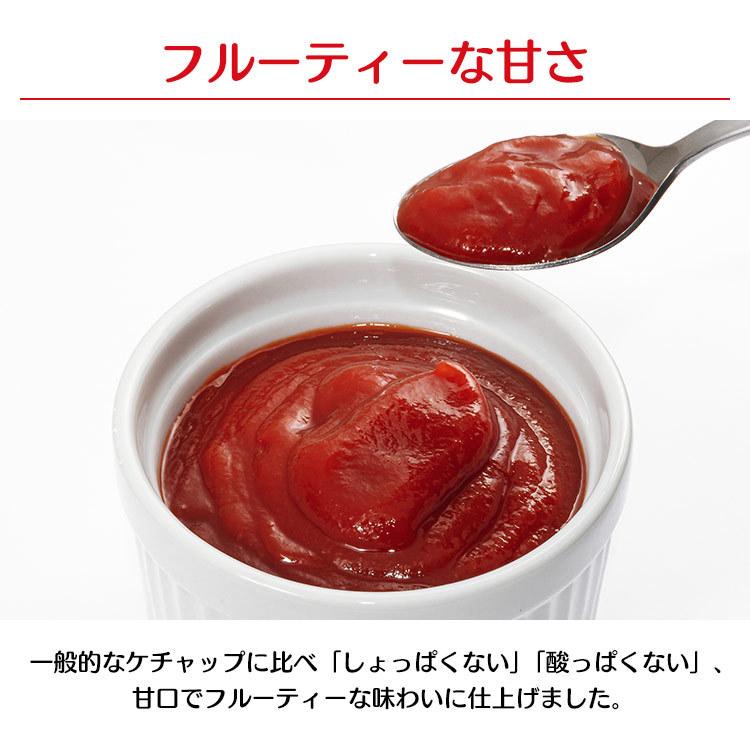 ケチャップ 300g 6本 カントリーハ−ヴ有機トマトケチャップ