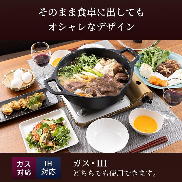 T-fal キャストライン アロマ プロ シャローパン 両手鍋 浅型