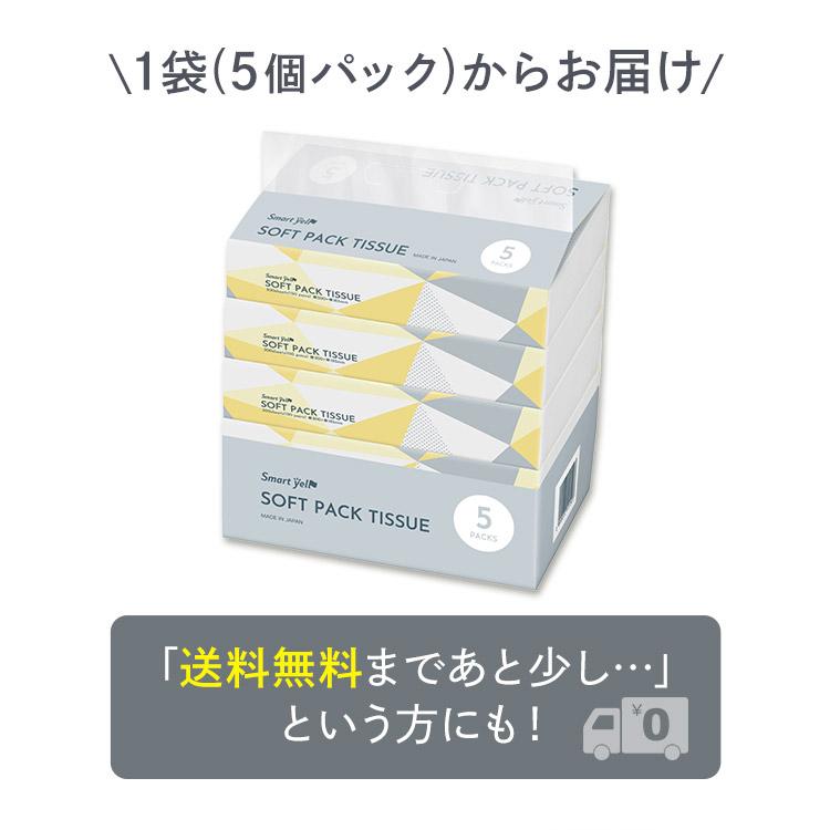 ティッシュペーパー 国産ソフトパックティッシュ 300枚 (150組) ボックスティッシュ 箱ティッシュ まとめ買い 日用品 アイリスオーヤマ 新生活 ポイント消化｜petkan｜03