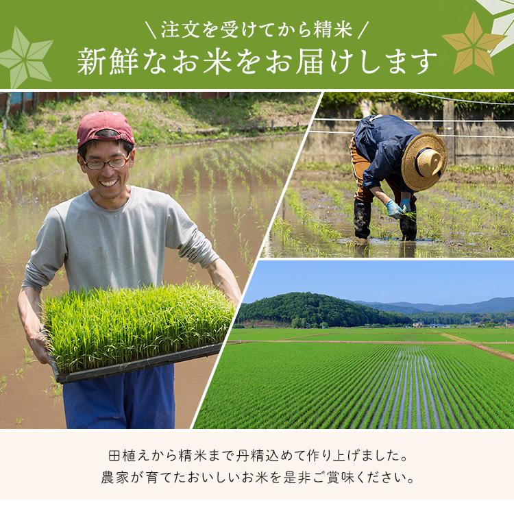 ササニシキ 米 20kg 送料無料 令和7年 一等米 宮城県産 お米 安い ささ