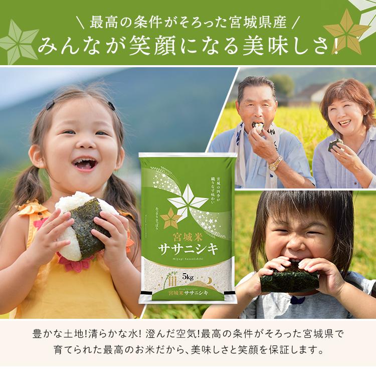 ササニシキ 米 20kg 送料無料 令和7年 一等米 宮城県産 お米 安い ささ