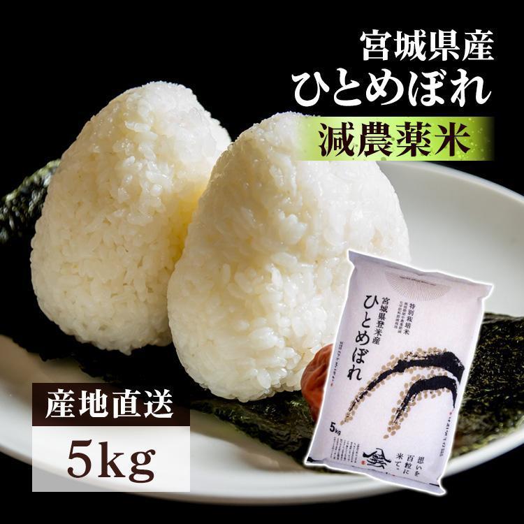 ひとめぼれ 米5kg 米 5kg お米 令和7年産 国産 宮城 宮城県産 特別栽培