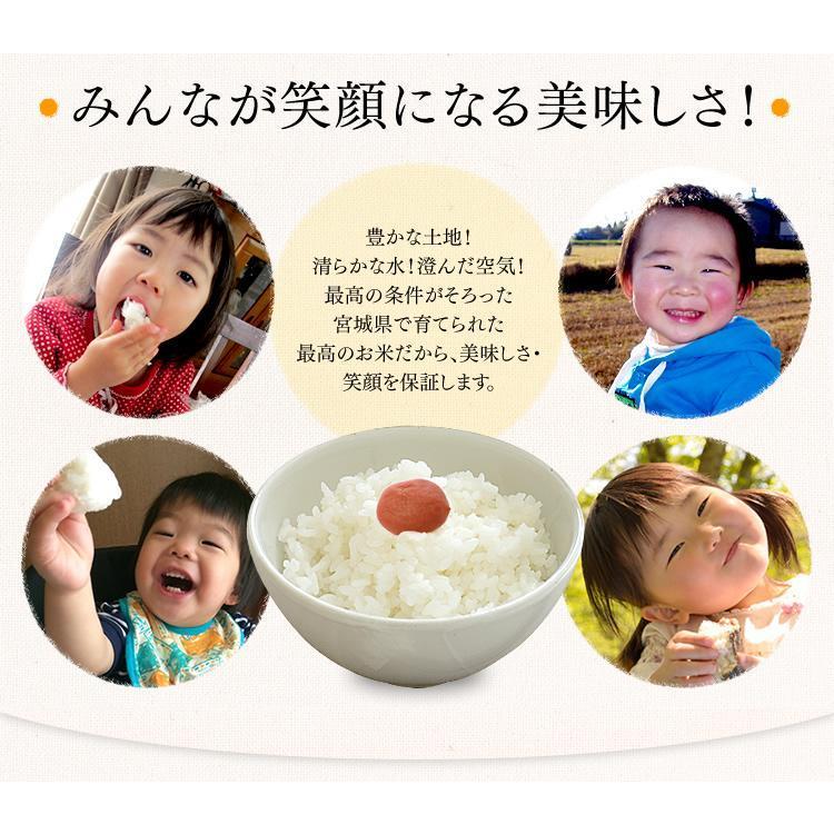 ササニシキ 10kg お米 5kg ささにしき 送料無料 白米 米 宮城県