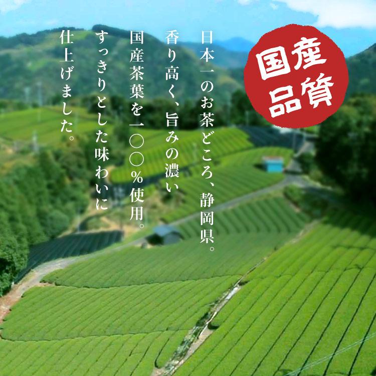 緑茶 ペットボトル 500ml 24本 国産 お茶 500ml×24本 静岡茶 国産茶葉 500ミリリットル ミツウロコ 送料無料 ポイント消化｜petkan｜02