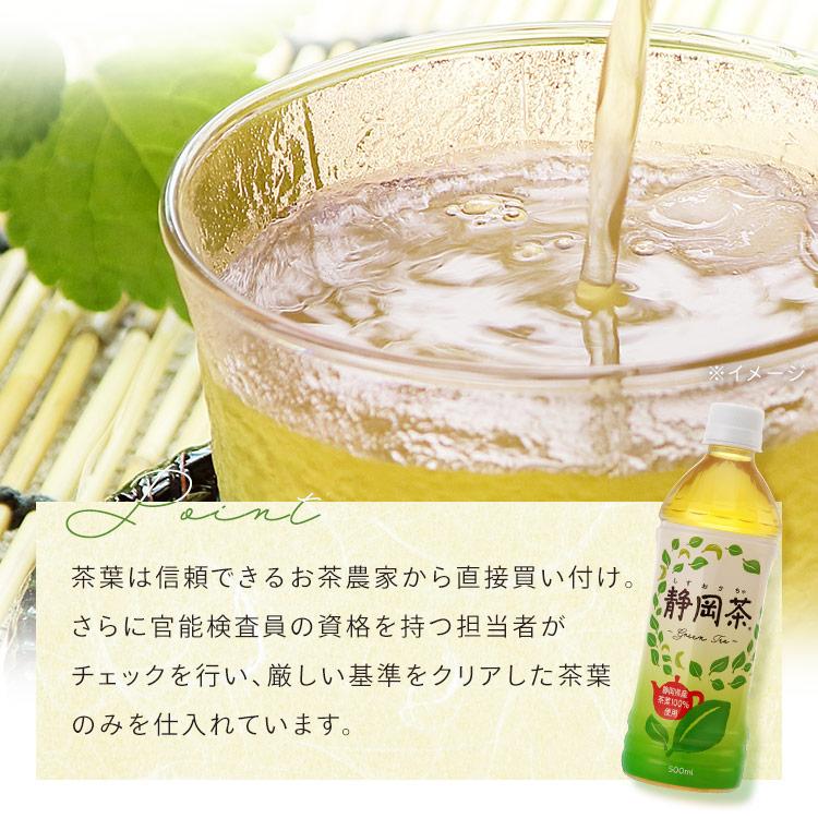 ミツウロコビバレッジ お茶 ペットボトル 500ml 48本 緑茶 500ml 48本