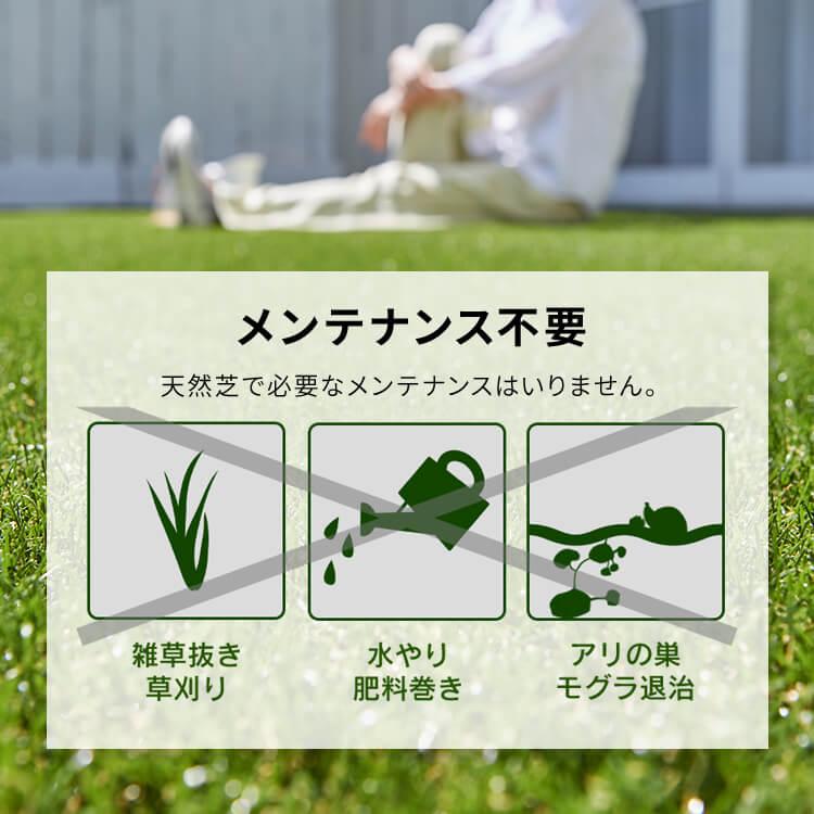リアル人工芝 3m×7m アイリスソーコー U字釘42本付 (代引