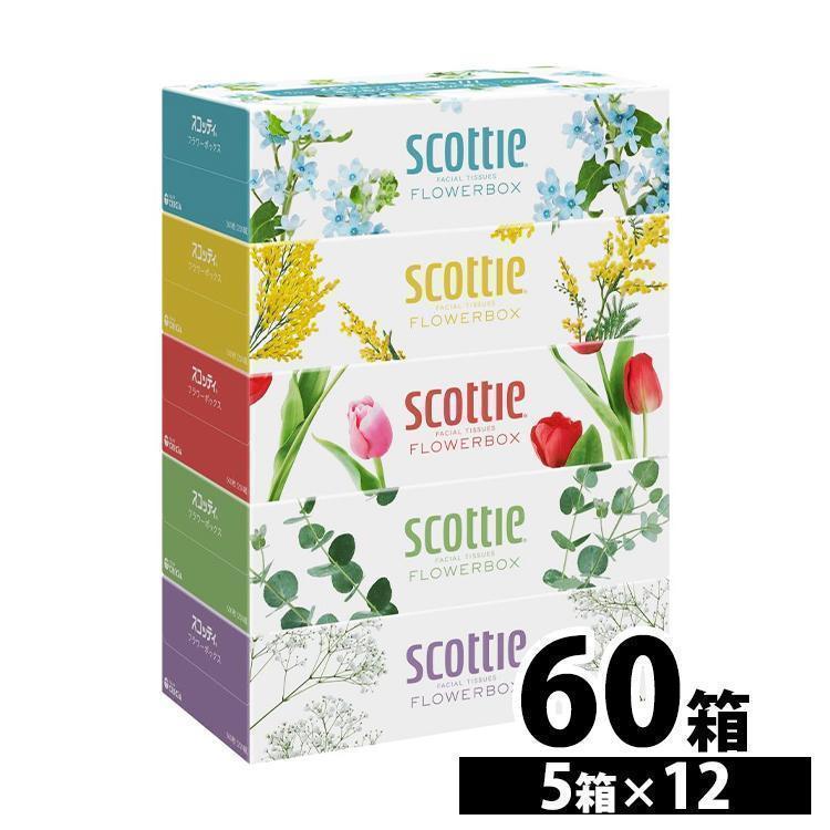 スコッティ（scottie） ティッシュペーパー 250組 5箱パック