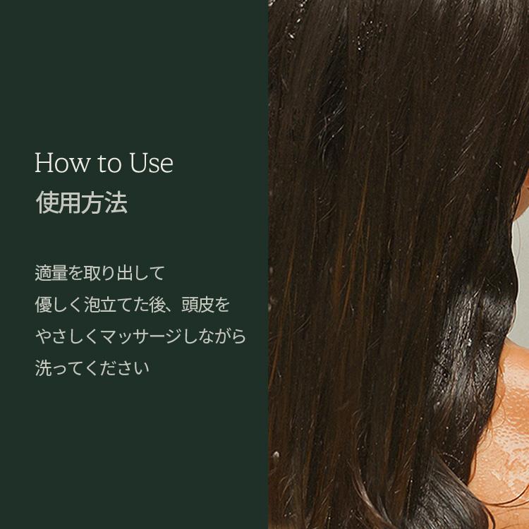 シャンプー トリートメント ヘアトリートメント 2点セット 韓国