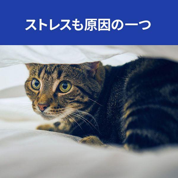 ヒルズ キャットフード 猫 フード 療法食 尿ケア 猫用 c/d マルチケア
