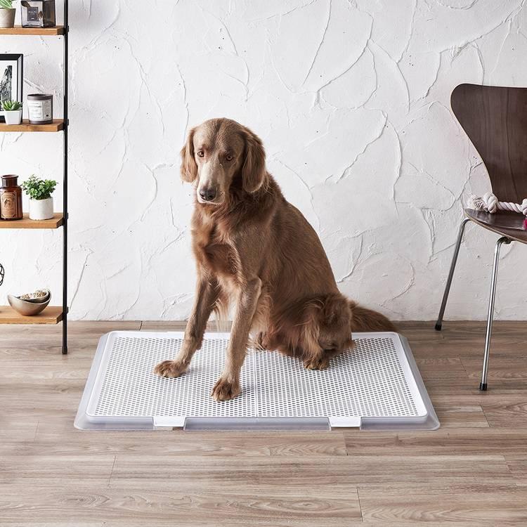 ボンビアルコン 犬 ペット トイレ ペットレー クリアメッシュ XL